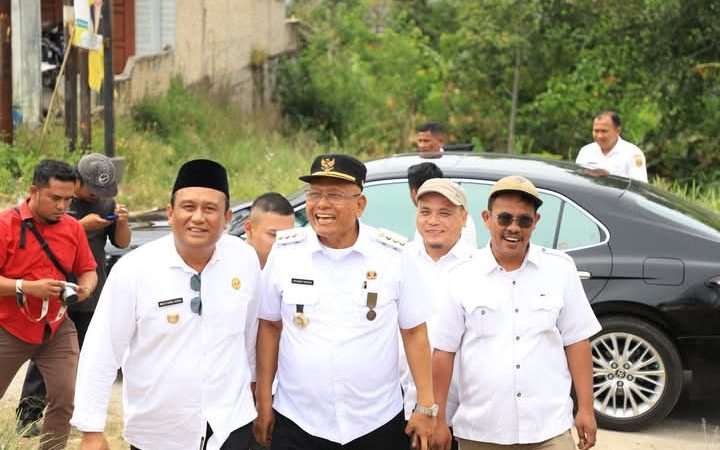 Bupati Dairi Tinjau Hewan Kurban Bantuan Presiden dan Gubernur Pastikan kondisi Hewan dalam Keadaan Sehat