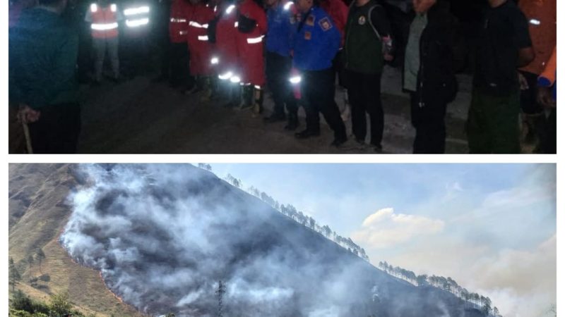 Pemkab Dairi Respon Cepat Kebakaran Lahan Paropo, 1 Unit Damkar Stanby di Lokasi Permukiman Warga