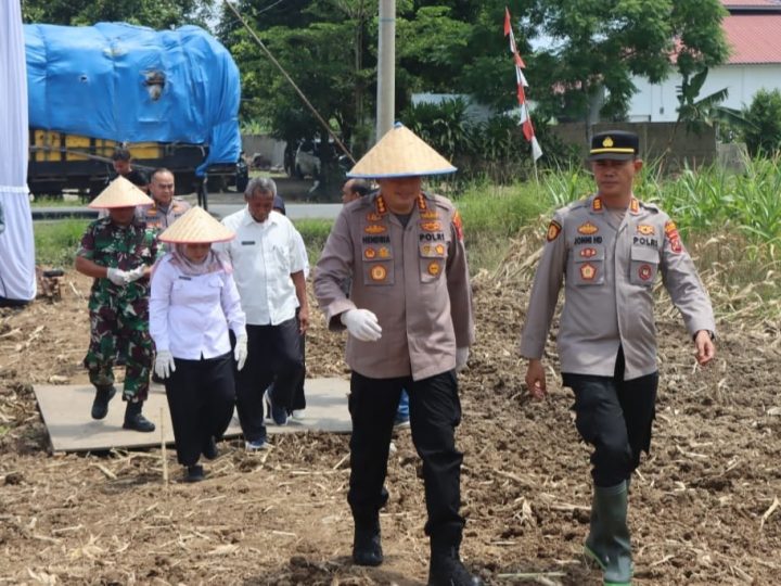Polresta Deli Serdang gelar Kegiatan Penanaman Jagung Serentak Kuartal IV Guna Tingkatkan Swasembada Pangan