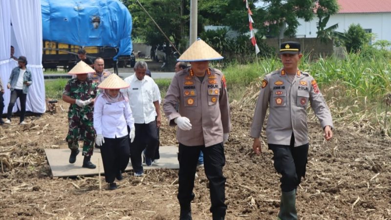 Polresta Deli Serdang gelar Kegiatan Penanaman Jagung Serentak Kuartal IV Guna Tingkatkan Swasembada Pangan
