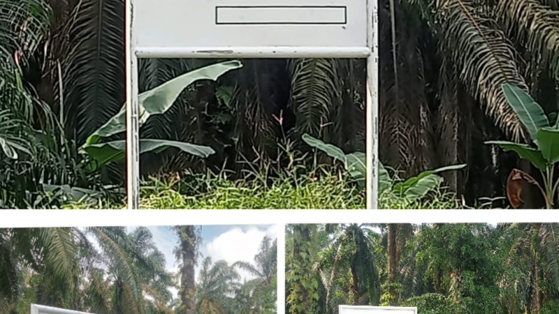 Tanah Ini Milik Pemkab Asahan, Kadis Perkim Imbau Masyarakat Untuk Tidak Menggarap dan Melakukan Aktifitas di Lahan Eks HGU PT. BSP Tbk Kisaran Asahan,metropos24.id