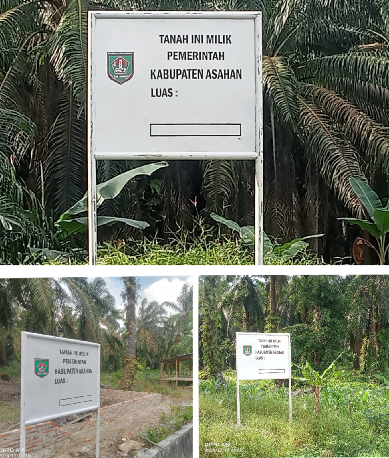 Tanah Ini Milik Pemkab Asahan, Kadis Perkim Imbau Masyarakat Untuk Tidak Menggarap dan Melakukan Aktifitas di Lahan Eks HGU PT. BSP Tbk Kisaran Asahan,metropos24.id