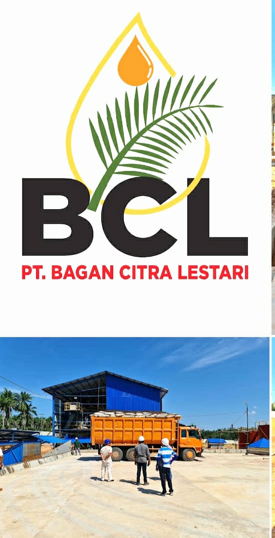 Gawat…Management PT Bagan Citra Lestari (BCL ) Diduga Tipu Tokoh Masyarakat Dan Pengusaha Kota Medan PJS