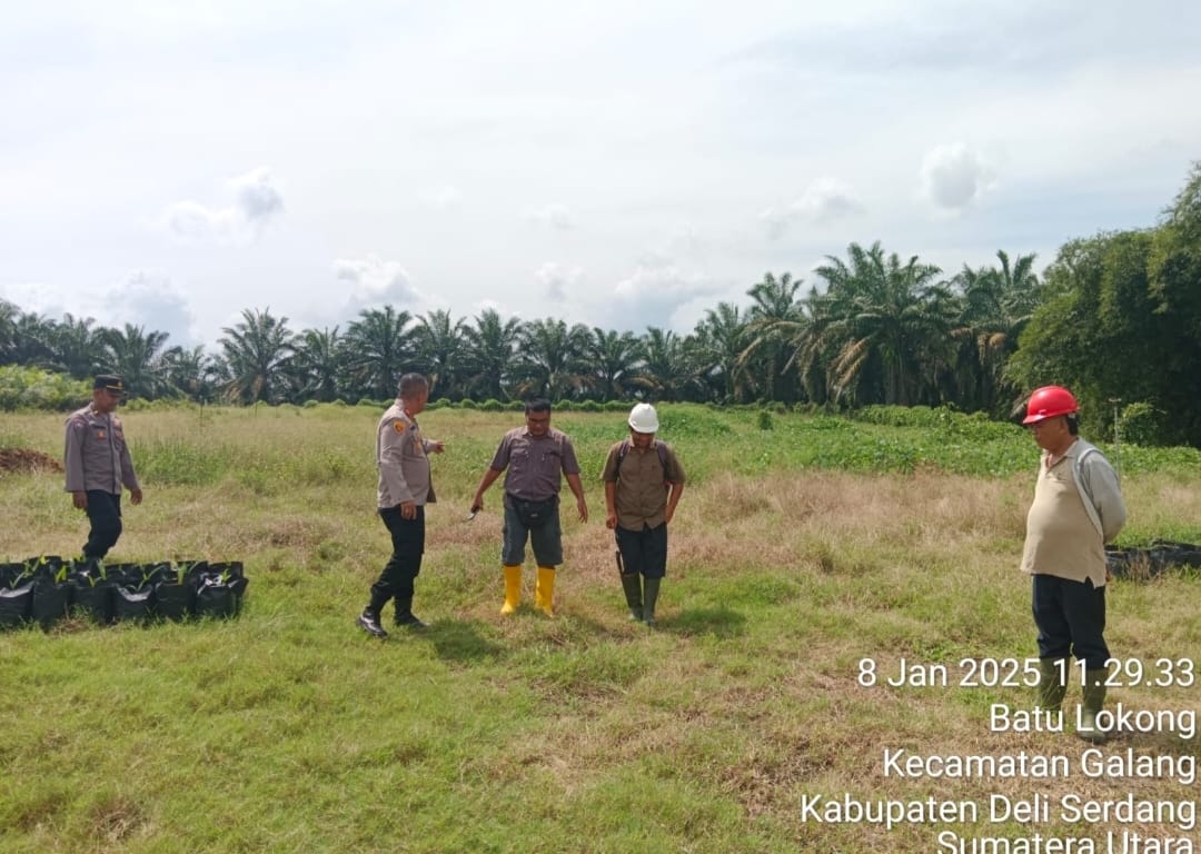 Polresta Deli Serdang siap gelar Penanaman jagung serentak di 8,016 Hektar lahannya *