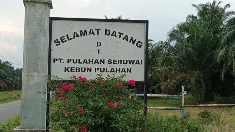 Diduga Satpam Kebun PT PS Peras Warga Masyarakat.