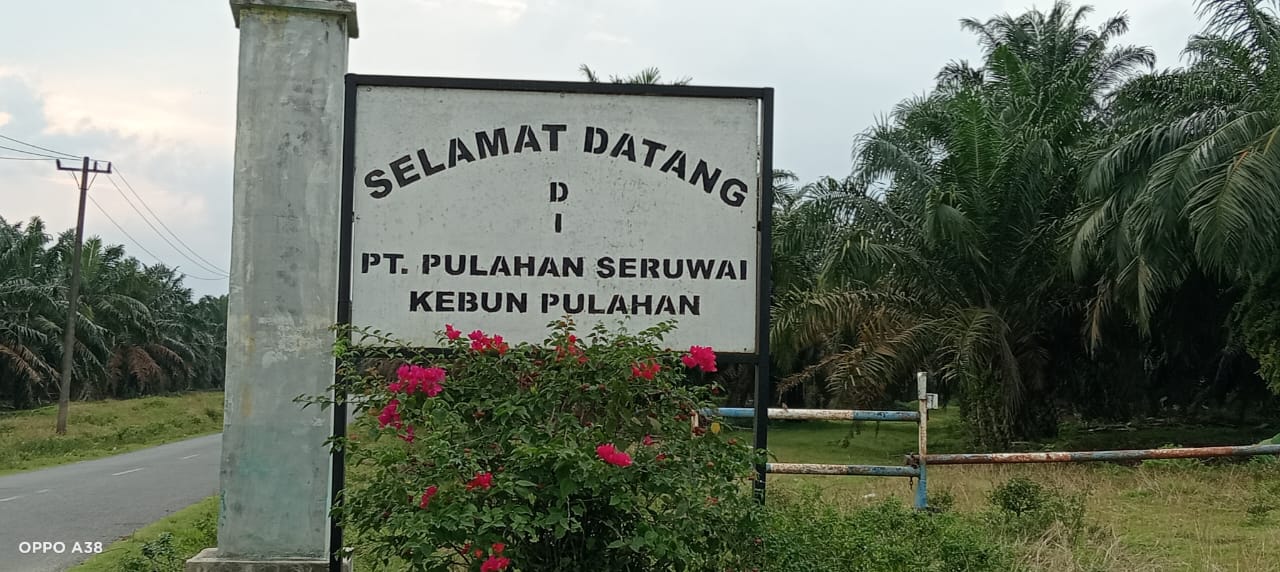 Diduga Satpam Kebun PT PS Peras Warga Masyarakat.