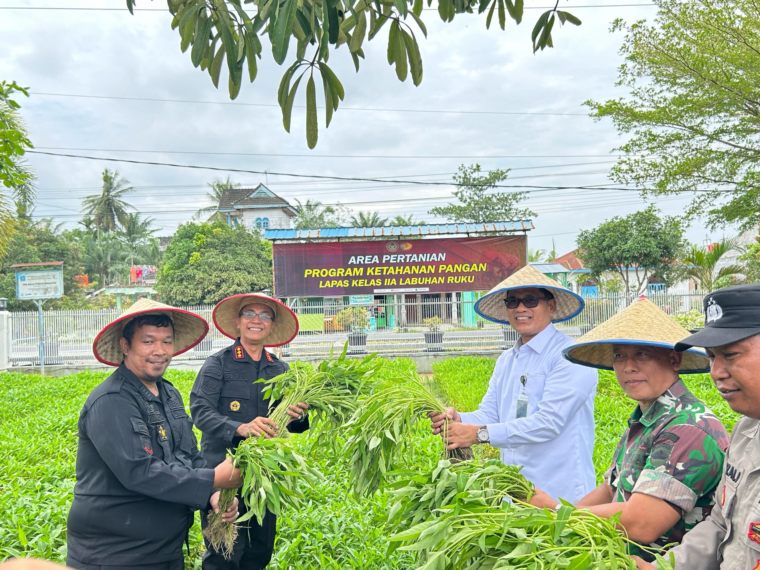 Dukung Ketahanan Pangan, Lapas Labuhan Ruku Panen Raya Bersama Stafsus Menteri IMIPAS Abdullah Rasyid