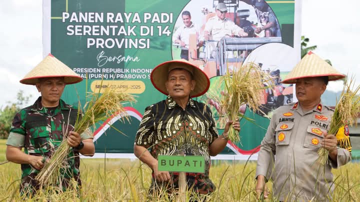 Desa Mbelang Malum Ikuti Panen Padi Serentak Se-Indonesia