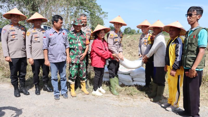 Dukung Ketahanan Pangan, Polres Dairi Bersama BUMDes Kalang Simbara Sejahtera Manfaatkan Lahan Produktif
