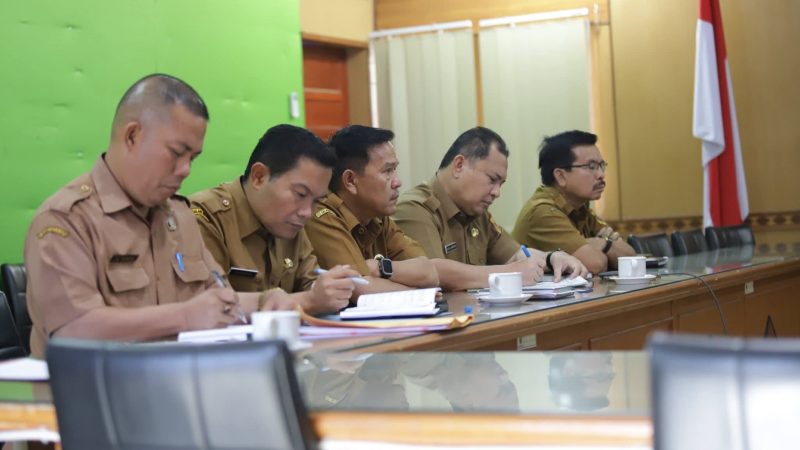 Sekda Dairi Zoom Dengan Menteri Dalam Negeri