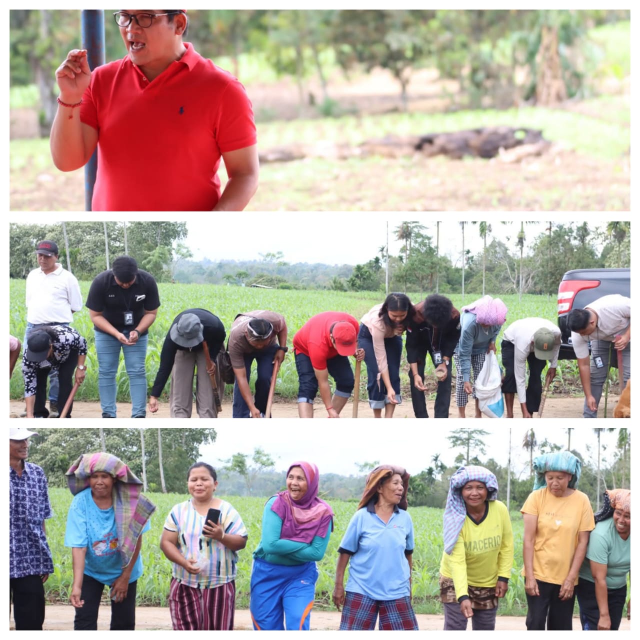 Tanam Padi Gogo di Desa Laumil, Kunci Tingkatkan Hasil Produksi Pangan di Lahan Kering, Amankan lumbung Pangan di Masa Mendatang.