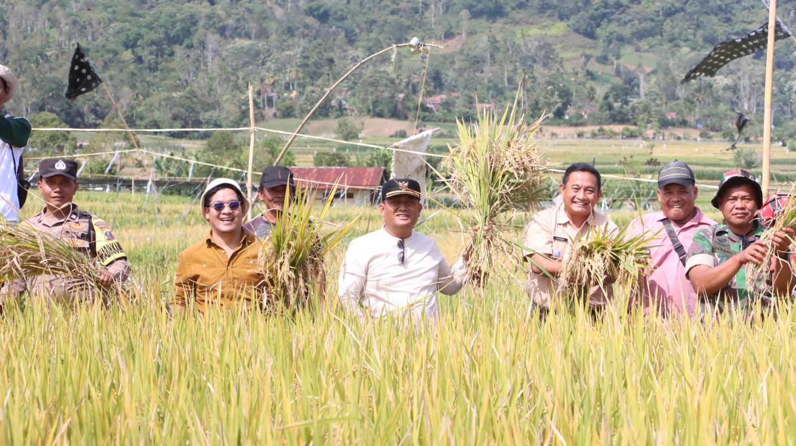 Panen Padi Bersama Petani Desa Buluduri, Wakil Bupati Ajak Petani Perkuat Ketahanan Pangan, Hindari Alih Komoditi di Persawahan