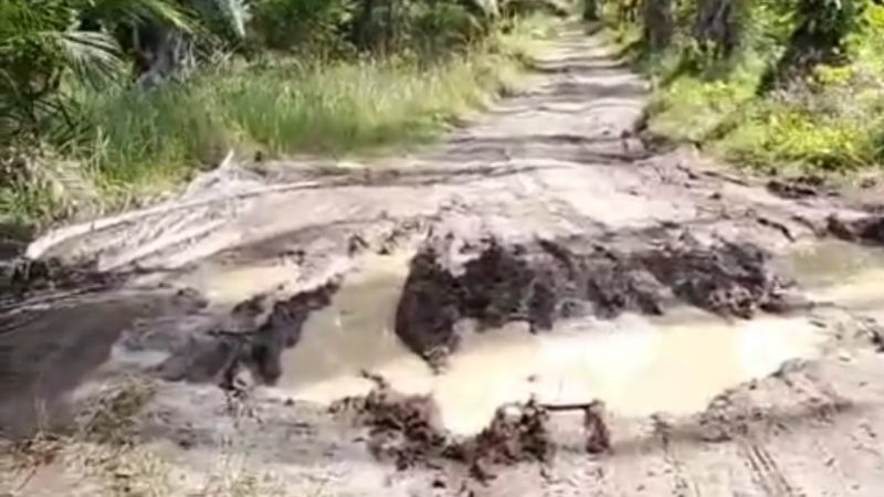 Warga masarakat desa sijabut teratai minta kepala desa Sudarmono di Periksa Penegak Hukum Propinsi Sumatera Utara.