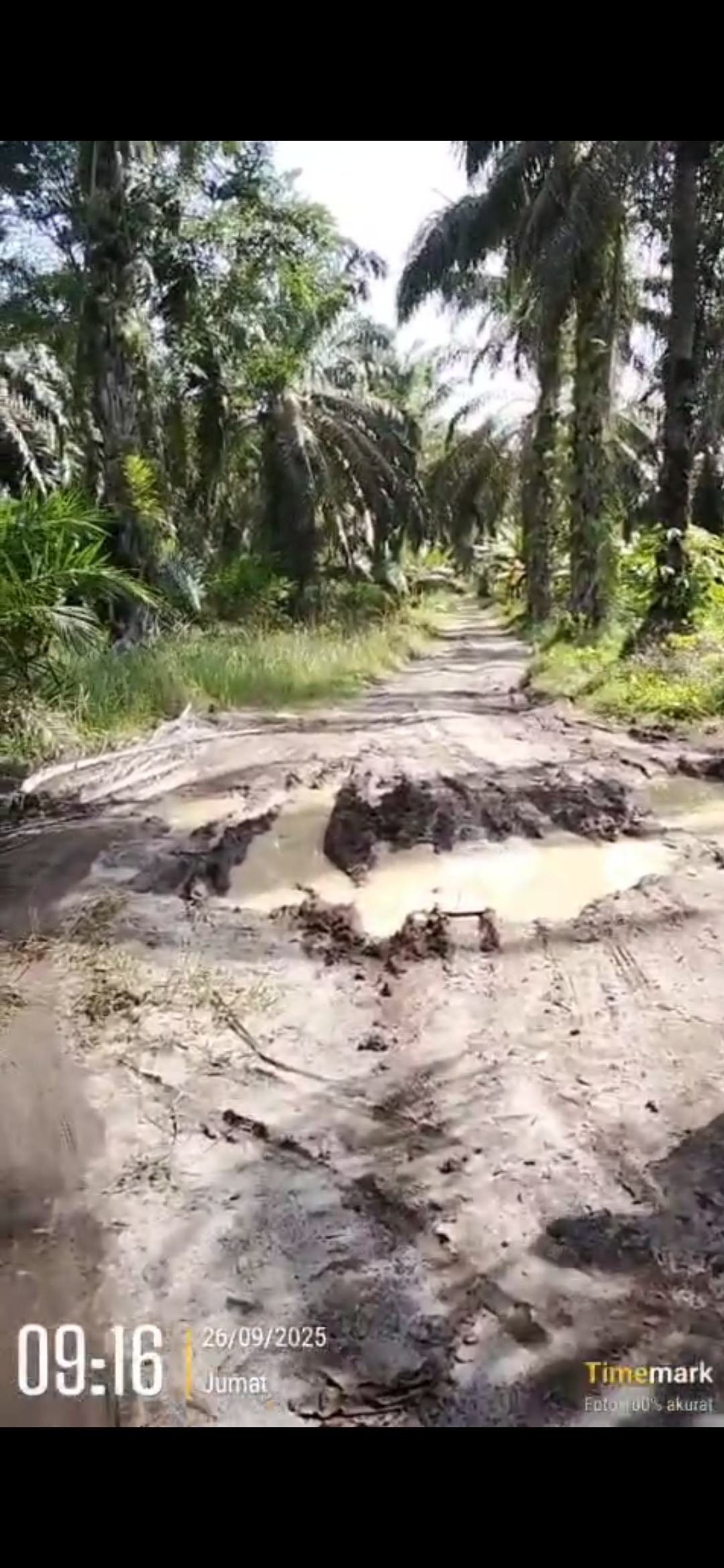 Warga masarakat desa sijabut teratai minta kepala desa Sudarmono di Periksa Penegak Hukum Propinsi Sumatera Utara.