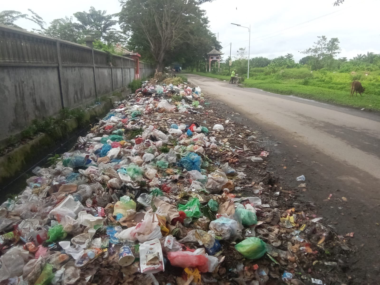 Miris, Areal Perkuburan Tionghoa Jadi Tempat Pembuangan Sampah, Warga Minta Pemkab Asahan Segera Menutup