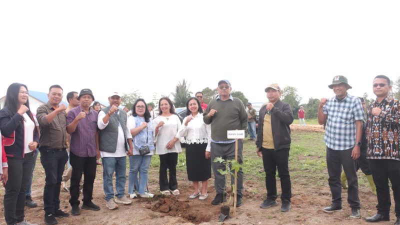 Dukung Program Gerakan Indonesia ASRI, Bupati Dairi Tanam Pohon di SMP Negeri 4 Sidikalang