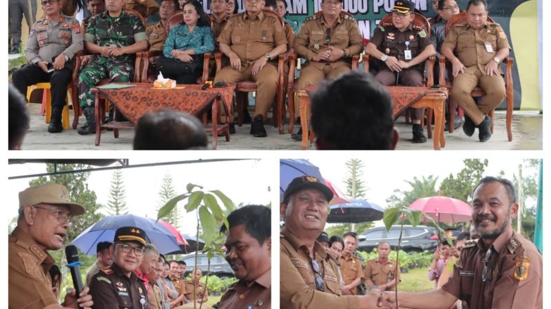 Deklarasi Satu Tahun Pemerintahan Vickner – Wahyu, Pemkab Dairi Bagikan Bibit Pohon Kepada Masyarakat.