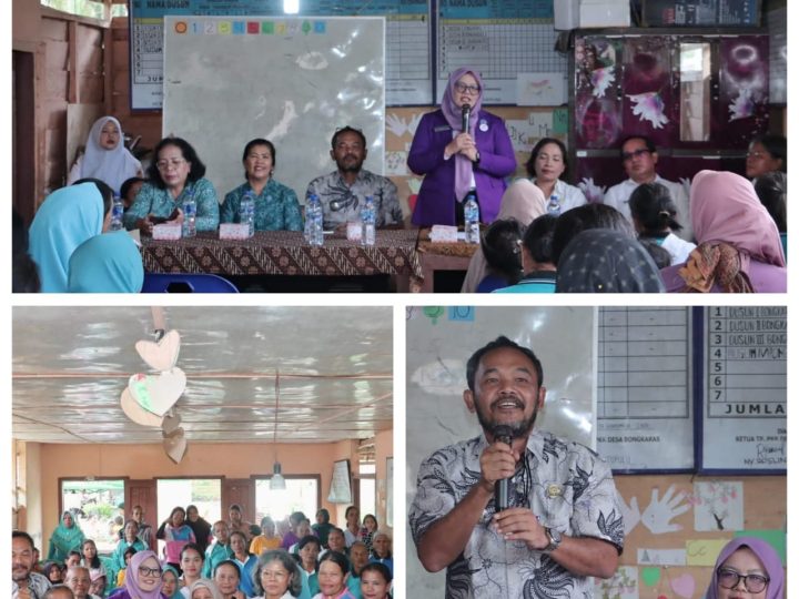 Ketua Tim Pembina Posyandu Dairi Pantau Kegiatan Posyandu Dan Serahkan Bantuan Mobiler Posyandu Di Desa Bongkaras