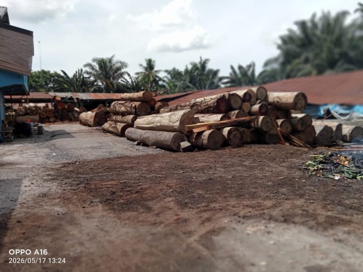 Benarkah DLHK Sumut, UPT KPH Wilayah III Kisaran dan UPT KPH Wilayah V Aek Kanopan Diduga Terima “Upeti” Dari Bisnis Illegal Logging