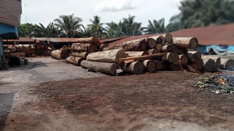 Benarkah DLHK Sumut, UPT KPH Wilayah III Kisaran dan UPT KPH Wilayah V Aek Kanopan Diduga Terima “Upeti” Dari Bisnis Illegal Logging