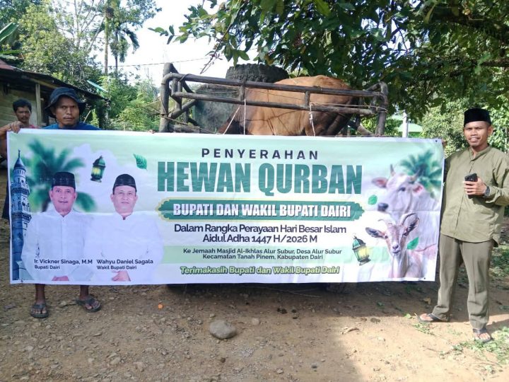 Bupati dan Wakil Bupati Dairi Serahkan Hewan Kurban untuk Jemaah Masjid Al-Ikhlas Alur Subur
