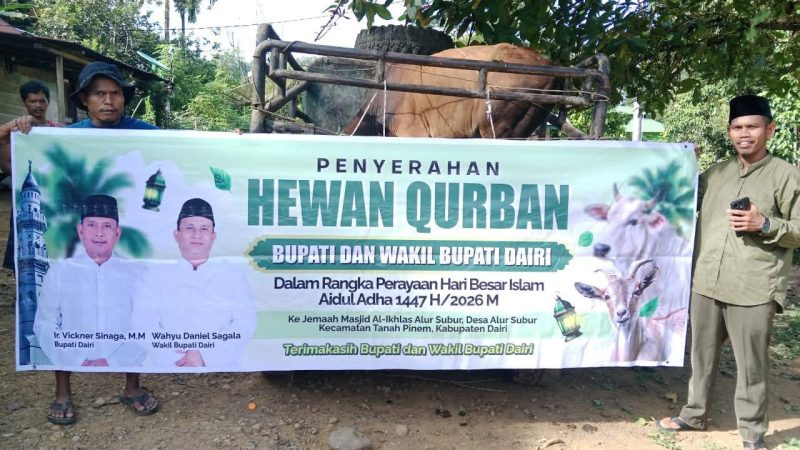 Bupati dan Wakil Bupati Dairi Serahkan Hewan Kurban untuk Jemaah Masjid Al-Ikhlas Alur Subur