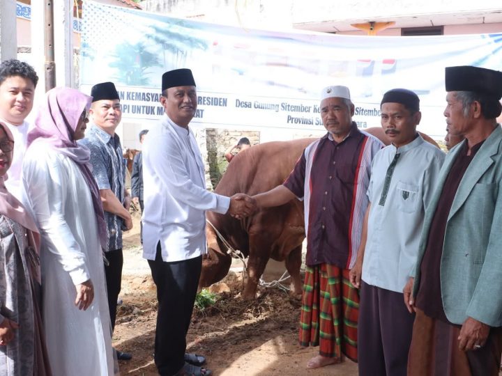 Rayakan Idul Adha 1447 H, Wakil Bupati Dairi Serahkan Bantuan Sapi Dari Presiden Prabowo Subianto Di Masjid Istiqomah Desa Gunung Sitember