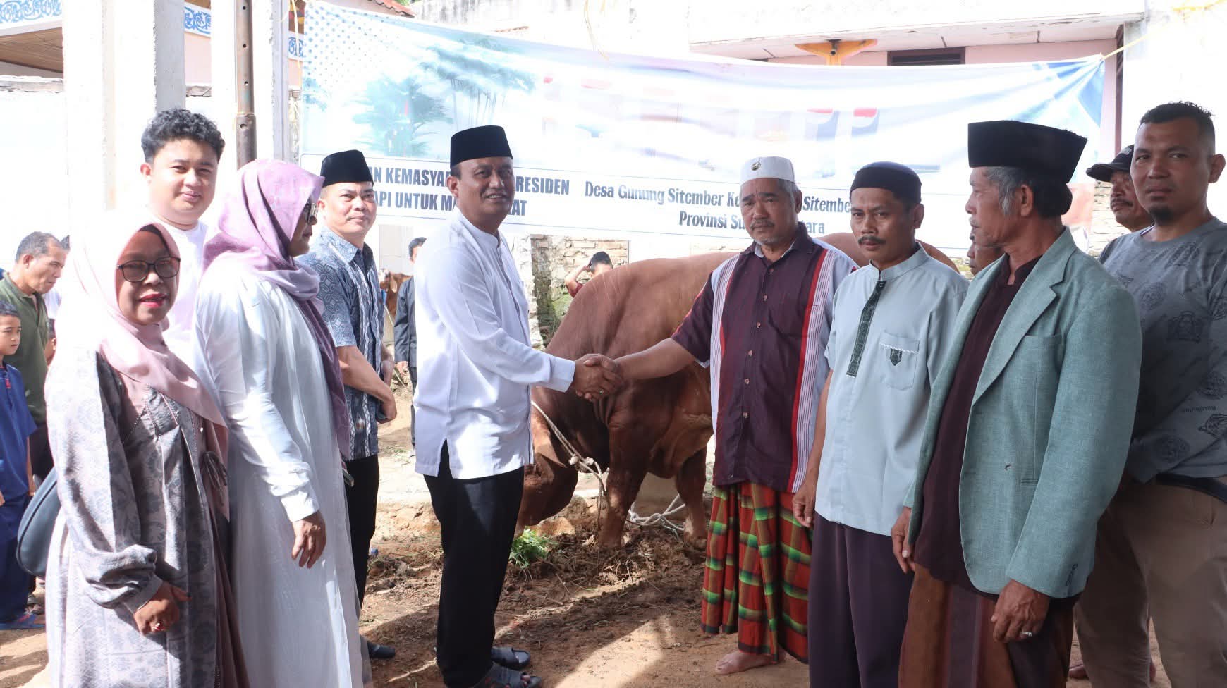 Rayakan Idul Adha 1447 H, Wakil Bupati Dairi Serahkan Bantuan Sapi Dari Presiden Prabowo Subianto Di Masjid Istiqomah Desa Gunung Sitember