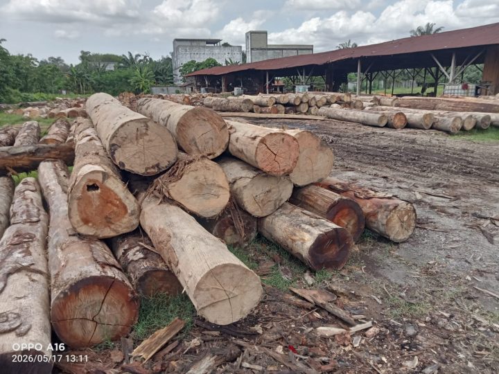 Tim Gabungan Balai Gakkum Kehutanan Wilayah Sumut Temukan Ribuan Ton Kayu Hutan Diduga Illegal di Asahan
