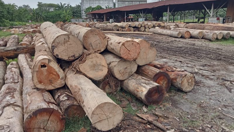 Tim Gabungan Balai Gakkum Kehutanan Wilayah Sumut Temukan Ribuan Ton Kayu Hutan Diduga Illegal di Asahan