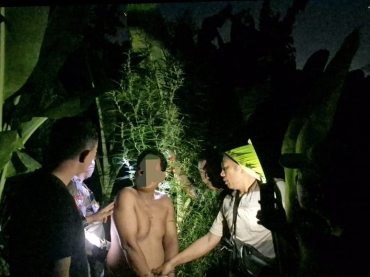 Temukan Tanaman Ganja, Polsek Tanjung Morawa Polresta Deli Serdang Amankan Pelaku
