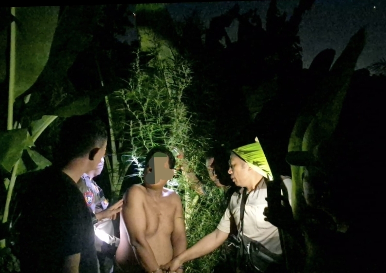 Temukan Tanaman Ganja, Polsek Tanjung Morawa Polresta Deli Serdang Amankan Pelaku
