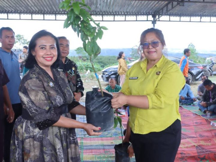 Peringatan Hari Lingkungan Hidup Se-Dunia, Bupati Dairi Canangkan Gerakan ASN Merawat Bumi Dengan Tanam Pohon Alpukat Di Kecamatan Sumbul