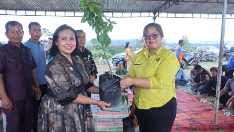 Peringatan Hari Lingkungan Hidup Se-Dunia, Bupati Dairi Canangkan Gerakan ASN Merawat Bumi Dengan Tanam Pohon Alpukat Di Kecamatan Sumbul