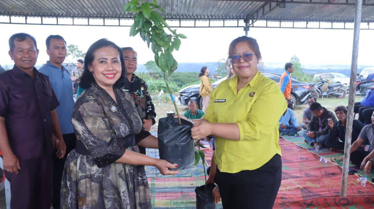 Peringatan Hari Lingkungan Hidup Se-Dunia, Bupati Dairi Canangkan Gerakan ASN Merawat Bumi Dengan Tanam Pohon Alpukat Di Kecamatan Sumbul