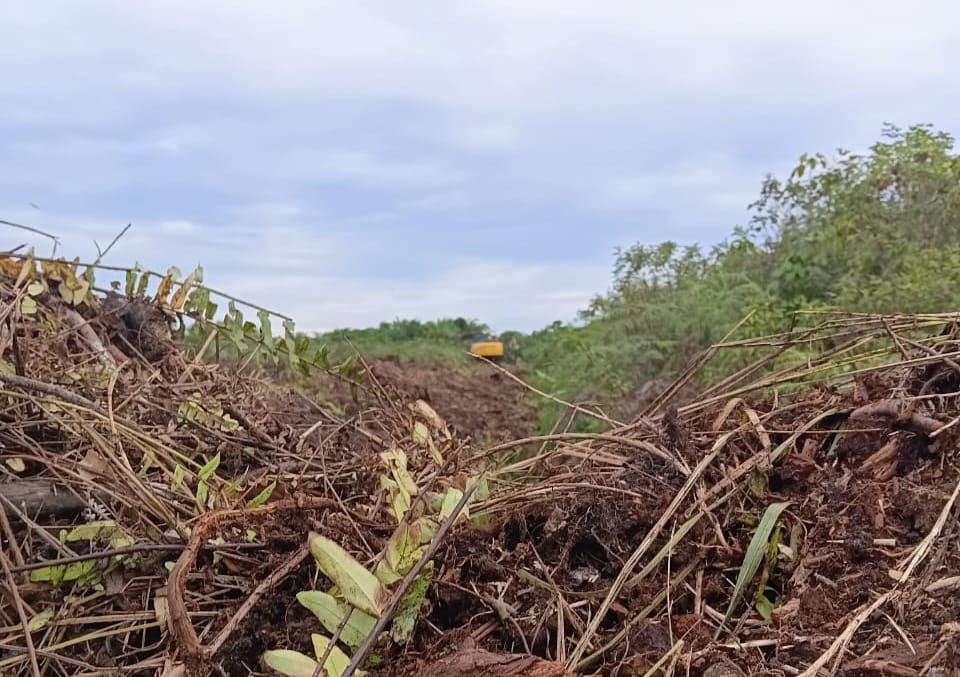 Diduga Alat Berat Beroperasi Didalam Kawasan Hutan Blok 14 Pasar 20 Desa Perbangunan Sei Kepayang