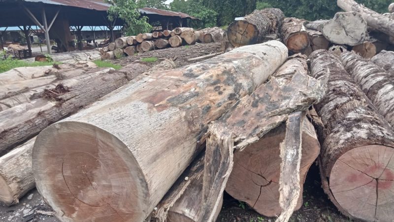 DPD PSI Asahan Pertanyakan Status Hukum Pemilik CV, Ratusan Batang Kayu Hutan Disita Tersangkanya Kemana