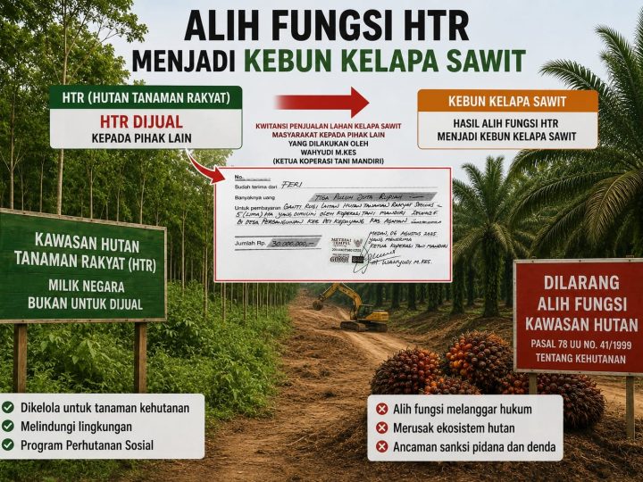 Diduga Kwitansi Pembayaran Menjadi Bukti Transaksi Illegal Dalam Pemindahtanganan Pengelolaan HTR Koperasi Tani Mandiri