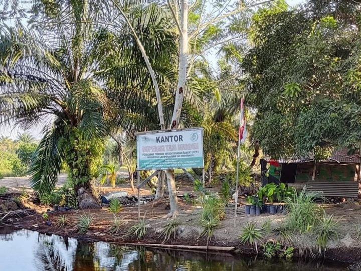 1.266,6 Hektar HTR Ditanami Sawit, Kantor Koptan Mandiri di Kawasan Hutan Mirip “Gubuk Derita” Dipertanyakan