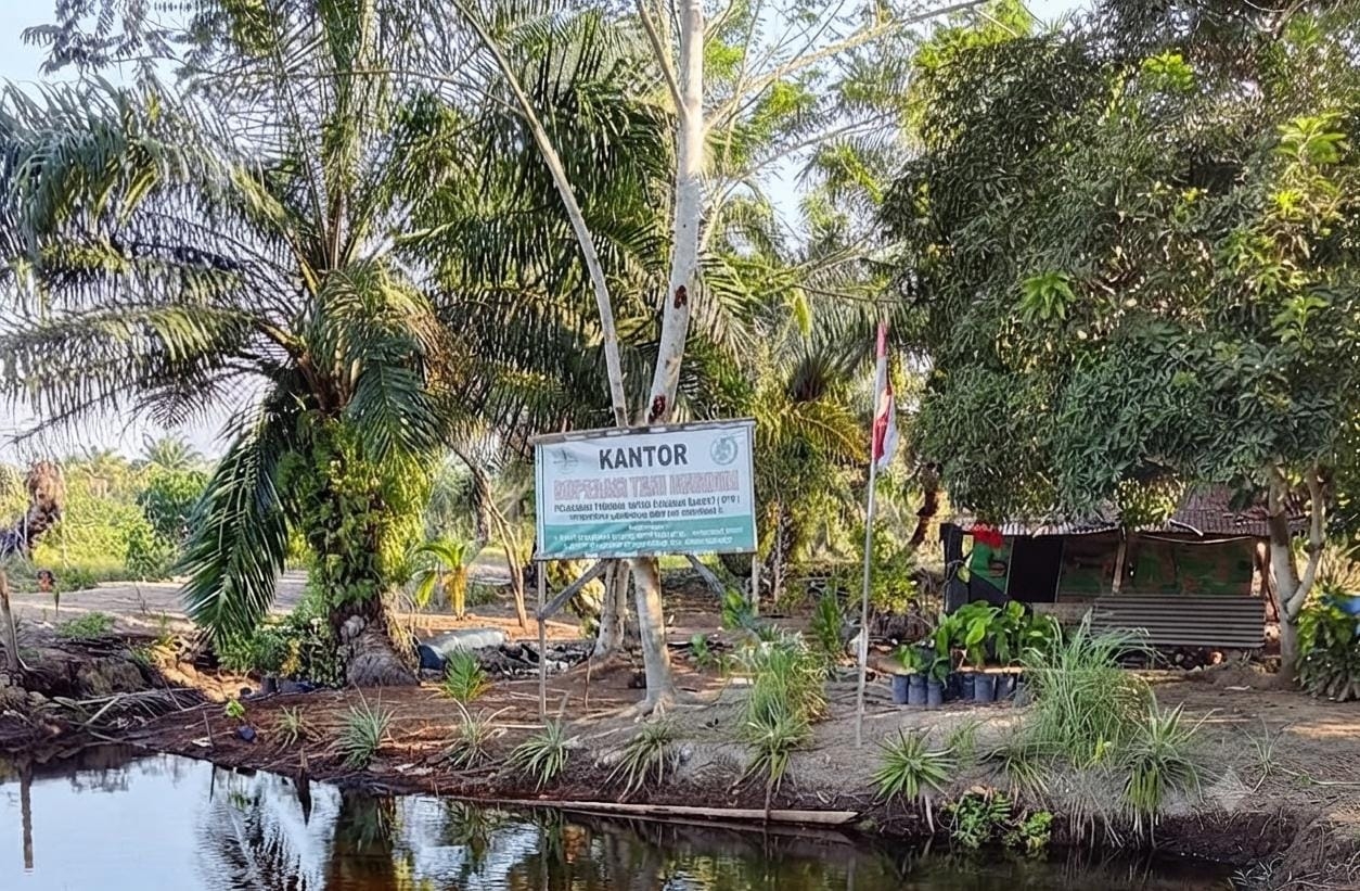 1.266,6 Hektar HTR Ditanami Sawit, Kantor Koptan Mandiri di Kawasan Hutan Mirip “Gubuk Derita” Dipertanyakan