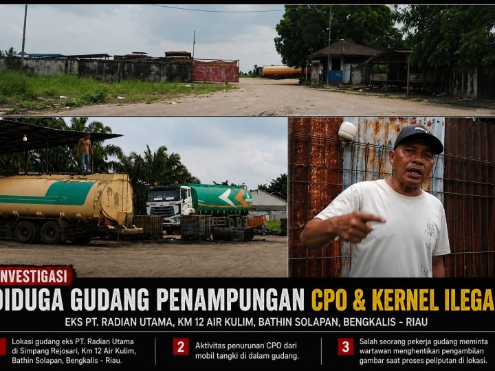 Dugaan Penampungan CPO dan Kernel Illegal di Gudang Eks PT. Radian KM 12 Kulim Kian Marak, Aparatur Hukum Diminta Segera Bertindak