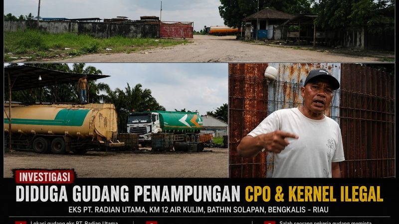 Dugaan Penampungan CPO dan Kernel Illegal di Gudang Eks PT. Radian KM 12 Kulim Kian Marak, Aparatur Hukum Diminta Segera Bertindak