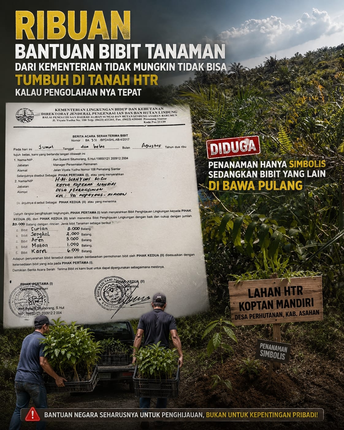20 Ribu Batang Bibit dari Kemenhut Diduga Raib, Wahyudi Sebut Bibit Mati Karena Tanah Gambut Mengandung Zat Asam