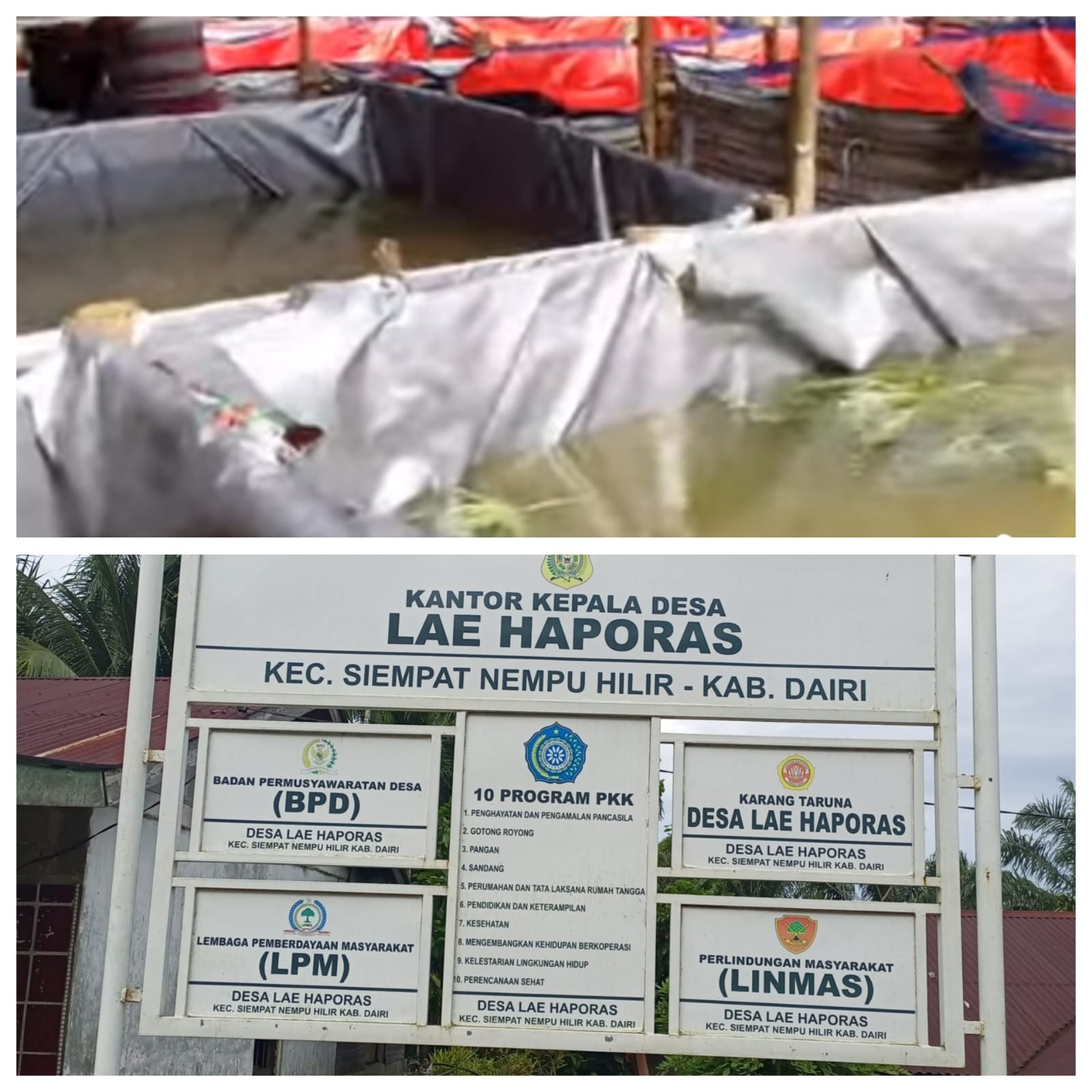Warga Desa Lae Haporas Desak APH Audit Dana Ketahanan Pangan Tahun 2025 Senilai Rp170 Juta, Sejumlah Dugaan Ketidaksesuaian Pengelolaan Mencuat