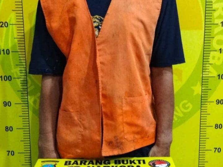 *Bekuk Pengedar Narkoba, Satres Narkoba Polresta Deli Serdang amankan Barang Bukti*