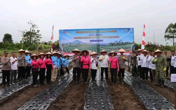 Pemkab Dairi Ikut Gerakan Tanam Bawang Putih Serentak Bersama Polres Dairi, Percepat Swasembada Bawang Putih Nasional