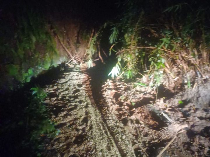 Tingginya Intensitas hujan Mengakibatkan Jalan Longsor di Tigalingga, BPBD Dairi Bergerak Cepat