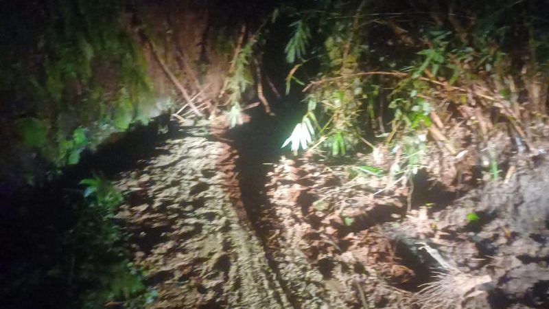 Tingginya Intensitas hujan Mengakibatkan Jalan Longsor di Tigalingga, BPBD Dairi Bergerak Cepat