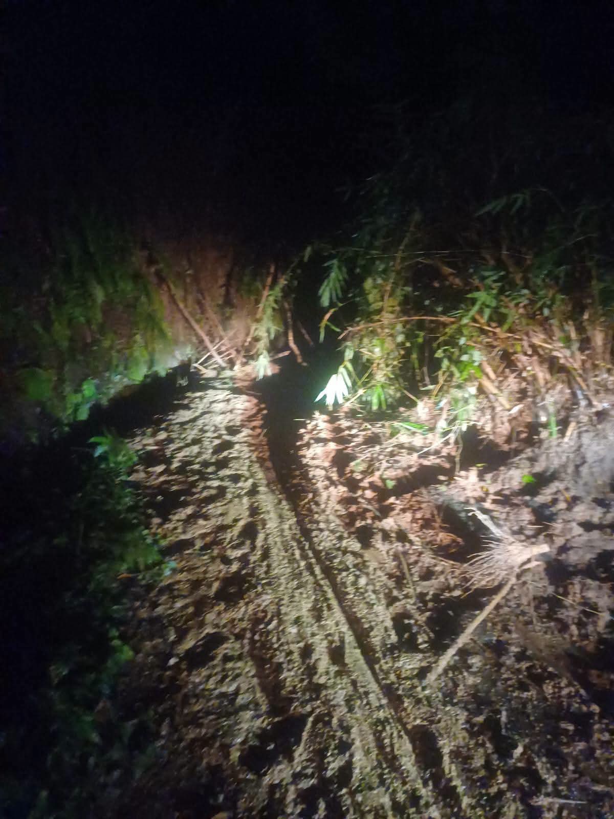 Tingginya Intensitas hujan Mengakibatkan Jalan Longsor di Tigalingga, BPBD Dairi Bergerak Cepat