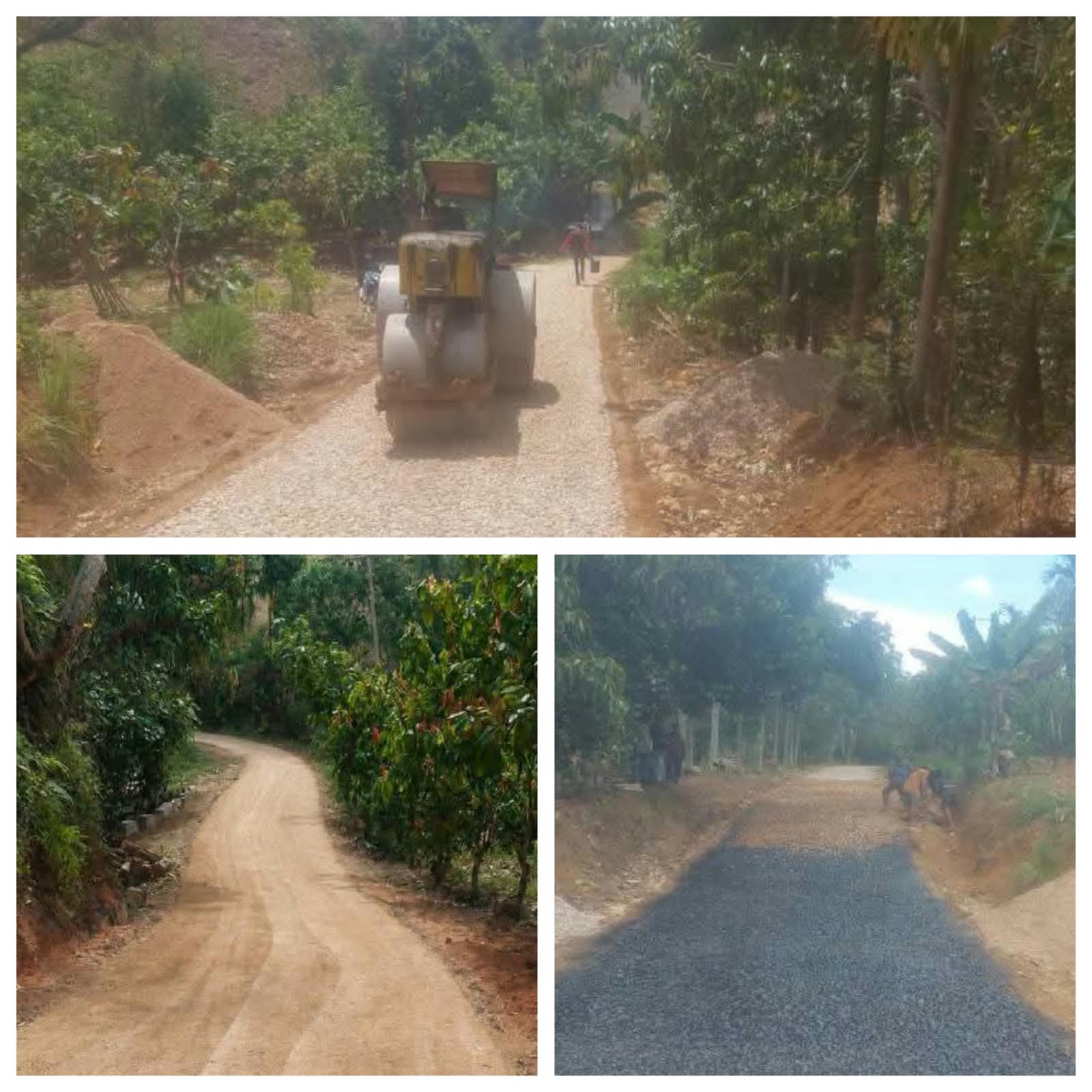 Di Tengah Efesiensi Anggaran Jalan Gunung Sitember–Lubuk Tinggi Diperbaiki, Akses Pertanian dan Ekonomi Lancar